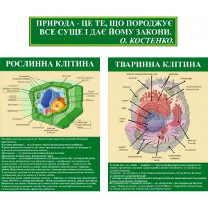 Комплект інформаційних стендів "Будова клітини"
