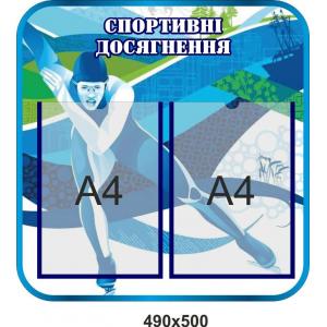 Стенд у спортивну залу "Спортивні досягнення"