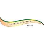 Стенд в школу для спортивного залу "Наші досягнення"