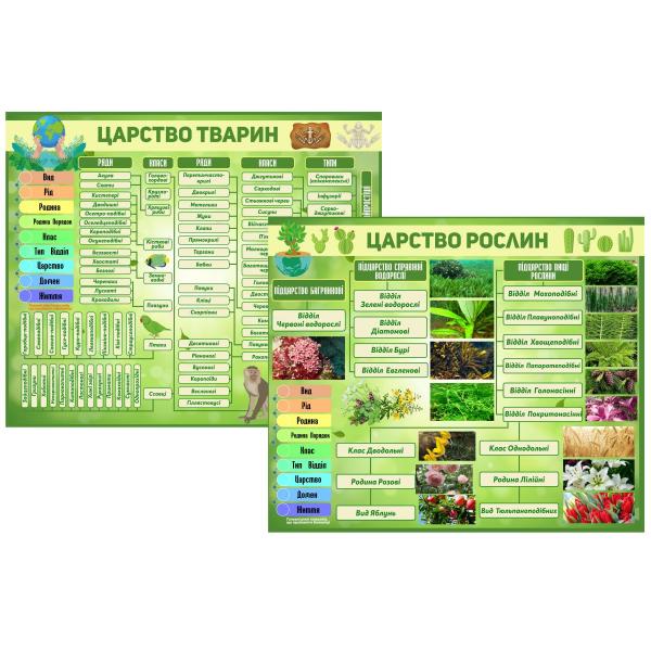 Стенди для кабінету біології "Царство рослин і тварин"