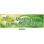 Комплект стендів в кабінет англійської мови "Україна - моя Батьківщина"