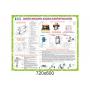 Комплект "Технологія праці для дівчаток"
