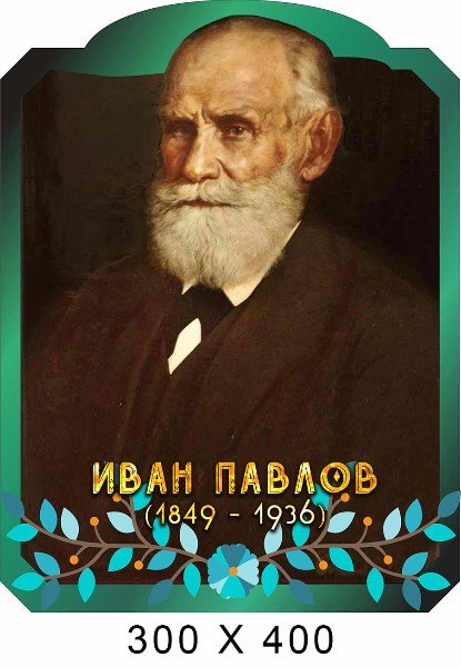 Павлов