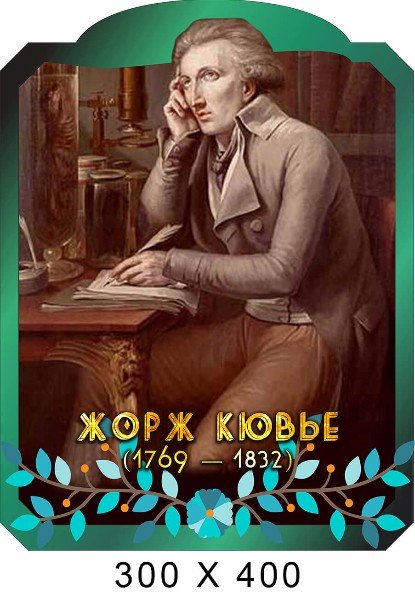 Кювье