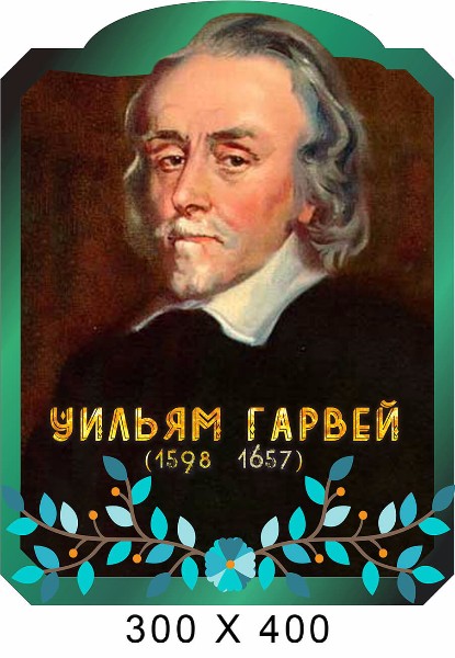 Гарвей