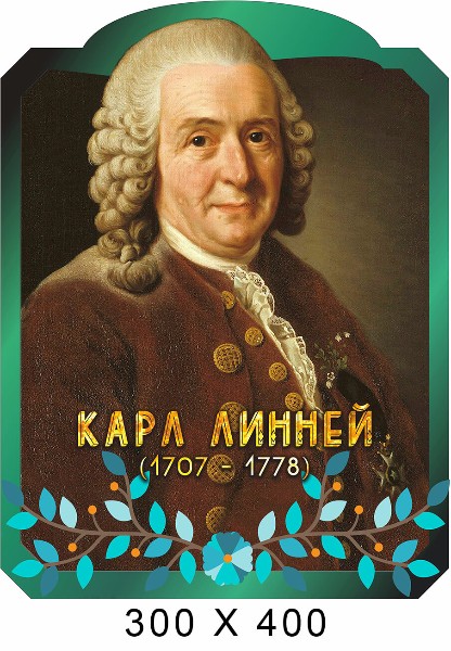 Линей