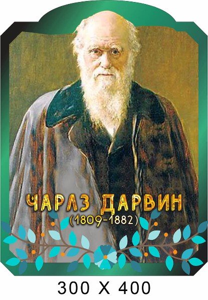 Дарвин